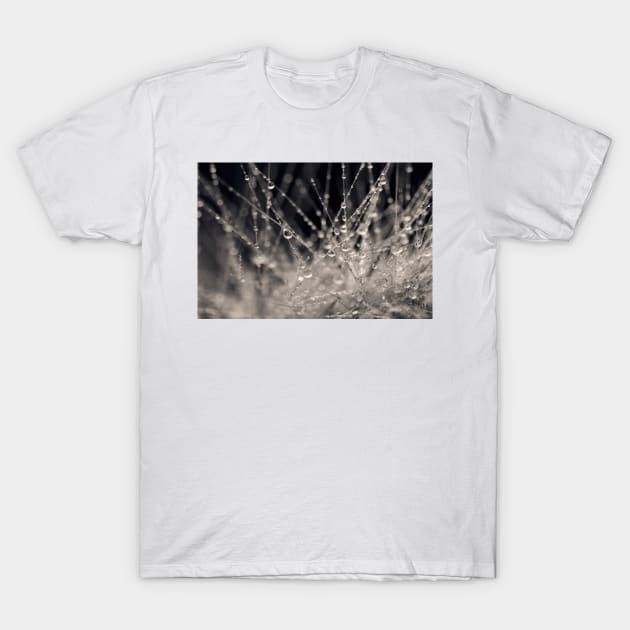 Wild Grass Abstract T-Shirt by micklyn